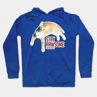 Stay Pawsome Hoodie